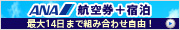 ﾛﾝｸﾞｽﾃｲならＡＮＡ航空券+宿泊