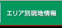 エリア別現地情報